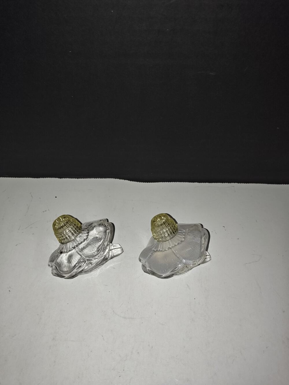 Vintage Bohemia Clear Glass Poppy Flower Kitchen Salt & Pepper Shakers Set Czech